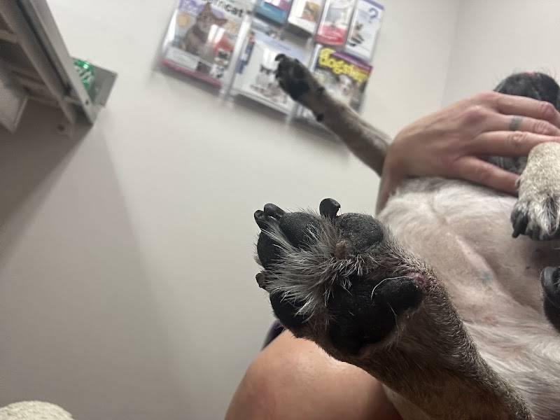 Hermitage Animal Clinic