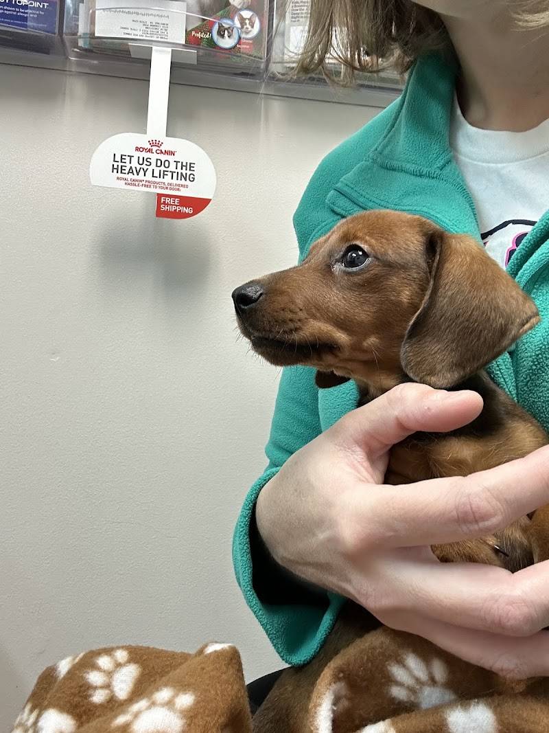 Hermitage Animal Clinic