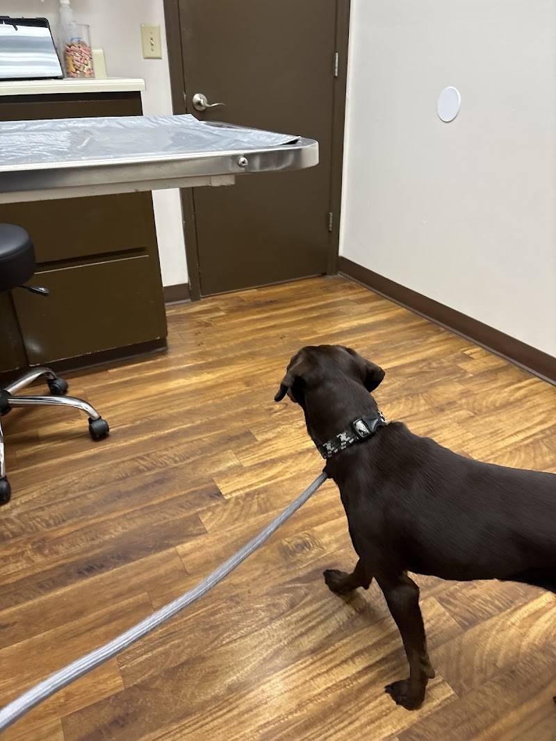 Hermitage Animal Clinic