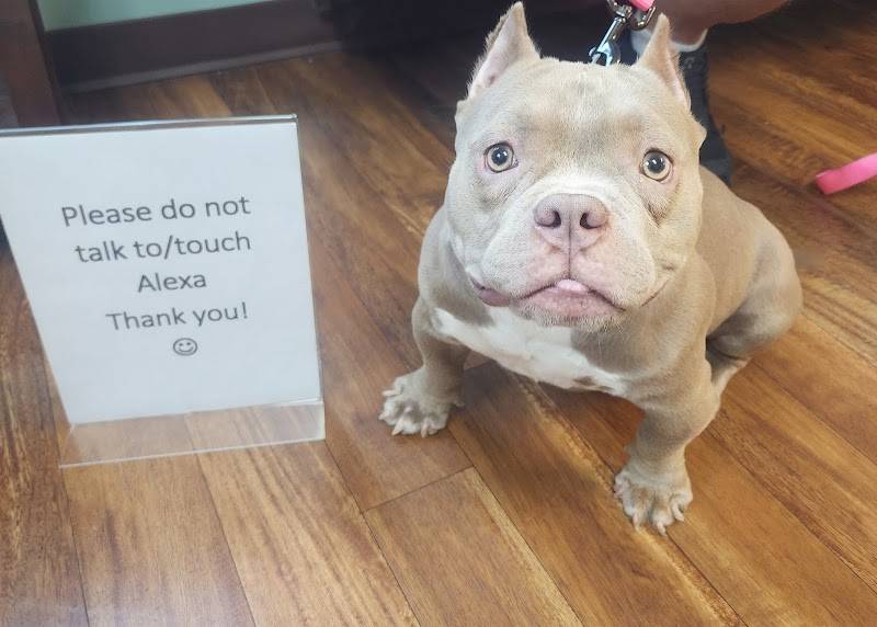 Hermitage Animal Clinic